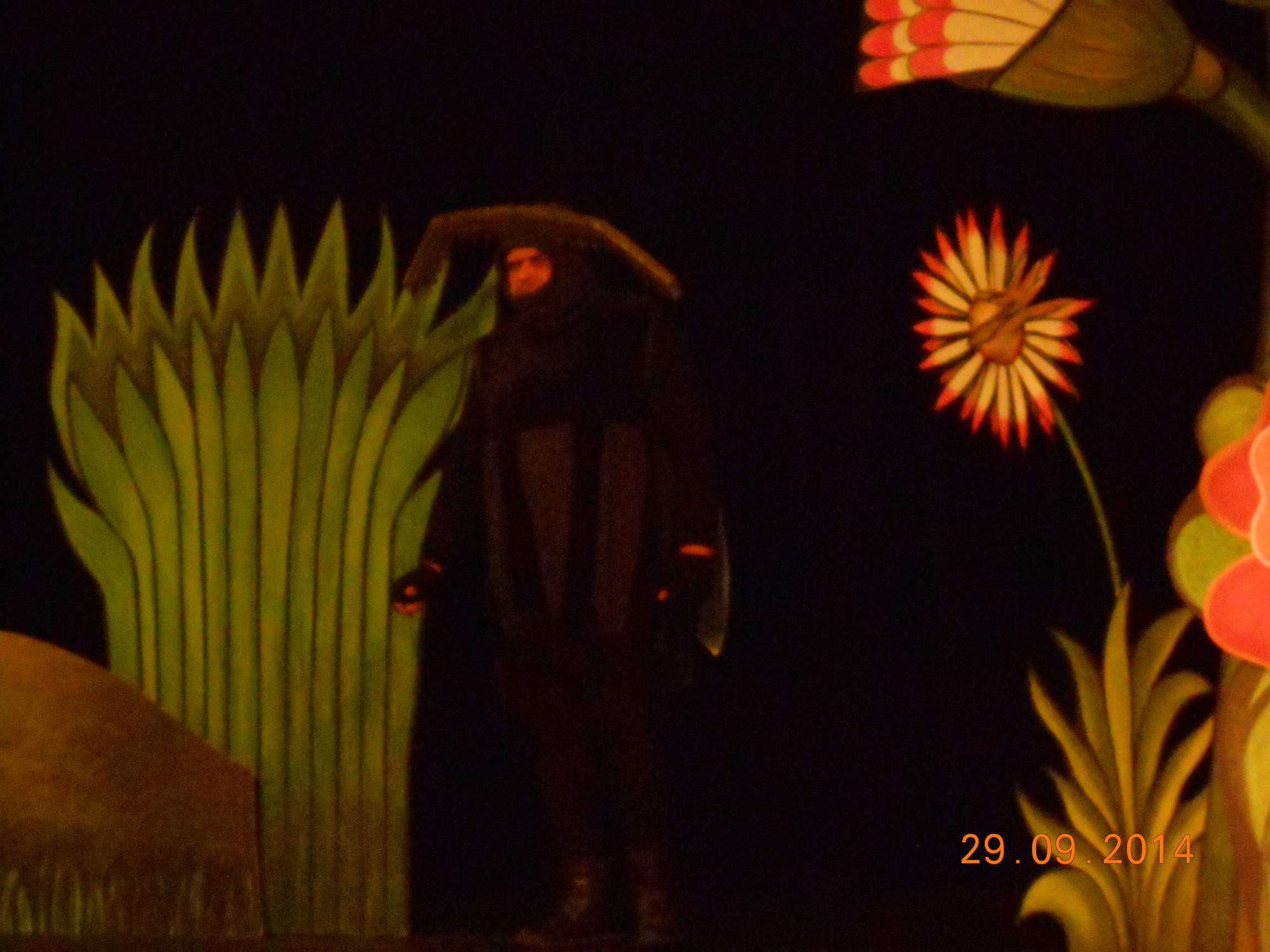 Divadlo_Podebrady_29.9.2014_017